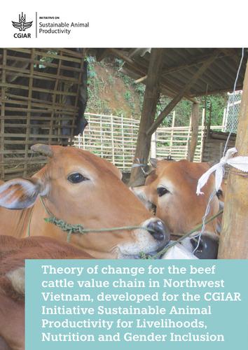 Theory of change for the beef cattle value chain in Northwest Vietnam, developed for the CGIAR Initiative Sustainable Animal Productivity for Livelihoods, Nutrition and Gender Inclusion
