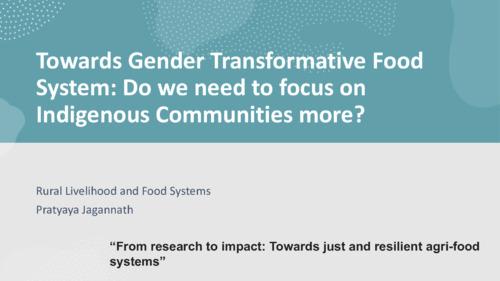 Towards gender transformative food systems: do we need to focus on indigenous communities more?