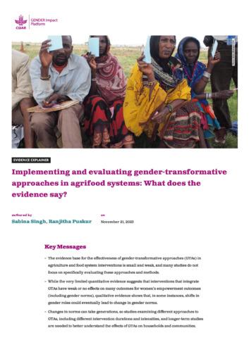 Implementing and evaluating gender-transformative approaches in agrifood systems: What does the evidence say?