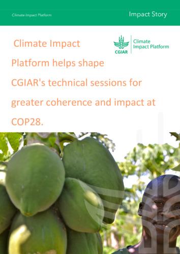 Climate Impact Platform helps shape CGIAR's technical sessions for greater coherence and impact at COP28.