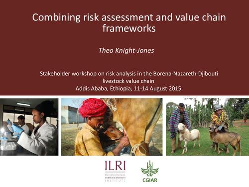 Combining risk assessment and value chain frameworks