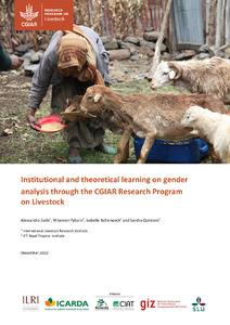 Institutional and theoretical learning on gender analysis through the CGIAR Research Program on Livestock