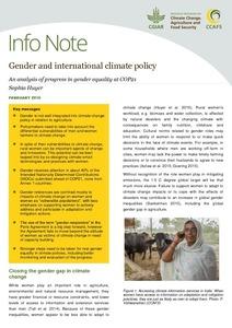 Gender and international climate policy: An analysis of progress in gender equality at COP21