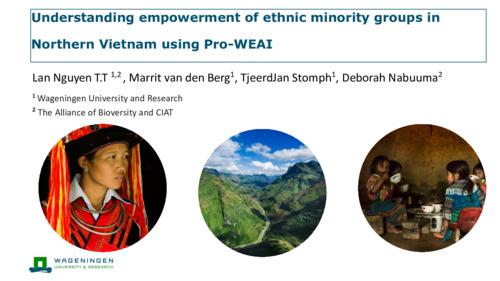 Understanding empowerment of ethnic minority groups in Northern Vietnam using Pro-WEAI