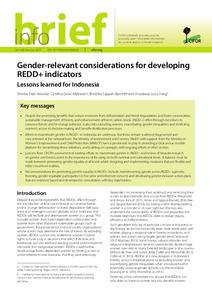 Gender relevant considerations for developing REDD+ indicators: Lessons learned for Indonesia