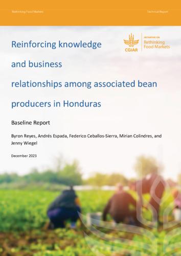 Reinforcing knowledge and business relationships among associated bean producers in Honduras