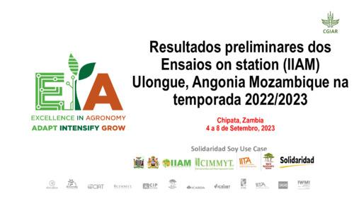 Resultados preliminares dos Ensaios on station (IIAM) Ulongue, Angonia Mozambique na temporada 2022/2023