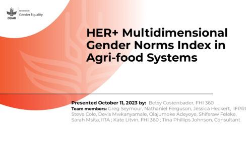 HER+ Multidimensional Gender Norms Index in Agri-food Systems