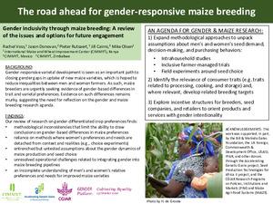 FR1.3: Gender inclusivity through maize breeding: A review of the issues and options for future engagement