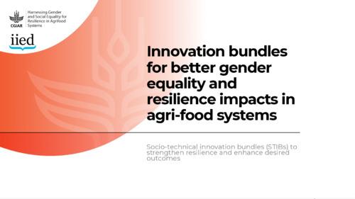 Innovation bundles for better gender equality and resilience impacts in agri-food systems