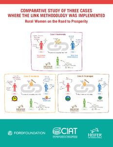 Comparative study of three cases where the link methodology was implemented: Rural women on the road to prosperity
