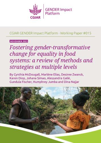 Fostering gender-transformative change for equality in food systems: A review of methods and strategies at multiple levels