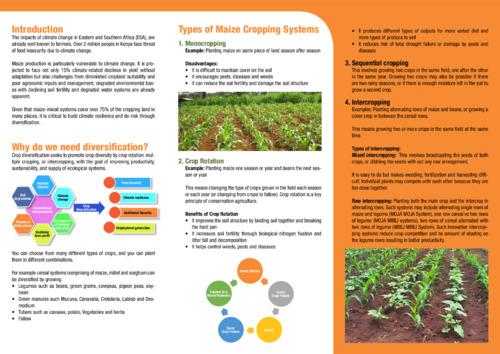 Diversified cropping systems for inclusive and resilient agri-food system in Embu County