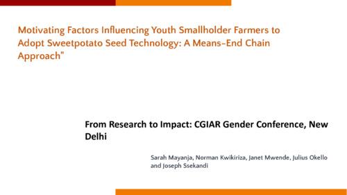 Motivating factors influencing youth smallholder farmers to adopt sweet potato seed technology: A means-end chain approach