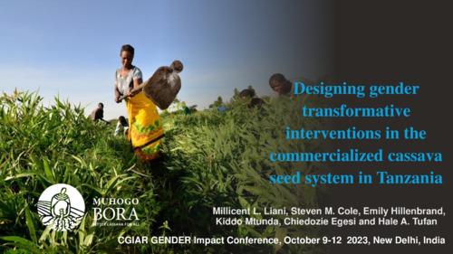 Designing gender-transformative interventions in the commercialized cassava seed system in Tanzania