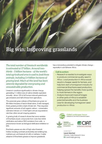 Big win: Improving grasslands
