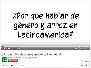 ¿Por qué hablar de género y arroz en Latinoamérica?