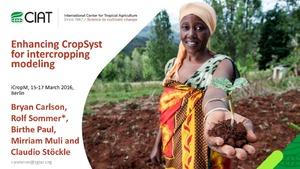 Enhancing CropSyst for intercropping modeling