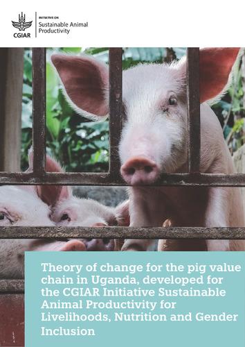 Theory of change for the pig value chain in Uganda, developed for the CGIAR Initiative Sustainable Animal Productivity for Livelihoods, Nutrition and Gender Inclusion