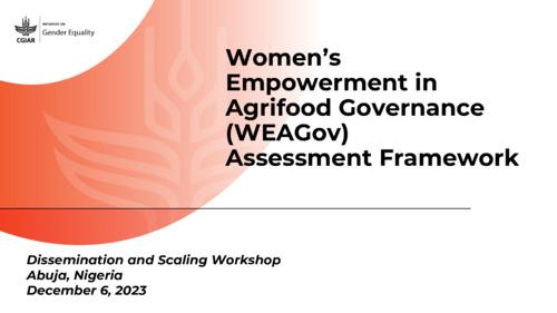 Women’s Empowerment in Agrifood Governance (WEAGov) Assessment Framework