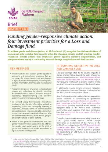 Funding gender-responsive climate action:  four investment priorities for a Loss and Damage fund