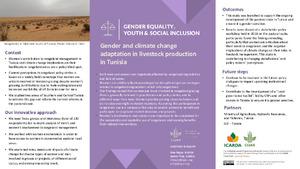 Gender and climate change adaptation in livestock production in Tunisia