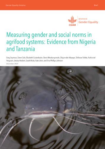 Measuring gender and social norms in agrifood systems: Evidence from Nigeria and Tanzania
