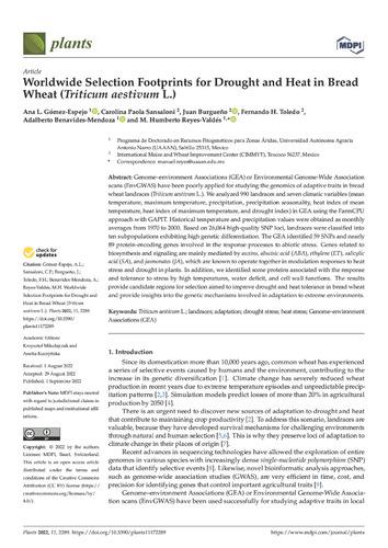 Worldwide selection footprints for drought and heat in bread wheat (Triticum aestivum L.)