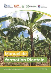 Manuel de formation plantain