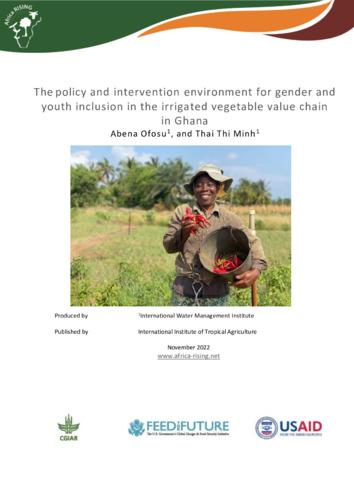 The policy and intervention environment for gender and youth inclusion in the irrigated vegetable value chain in Ghana