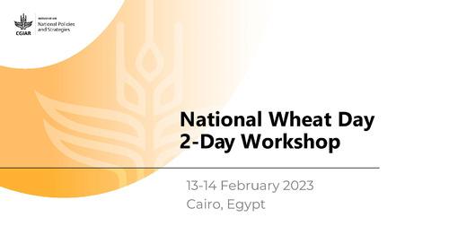 Wheat genetics, research and development in Egypt