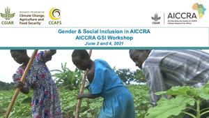 Overview of gender and social inclusion activities in AICCRA