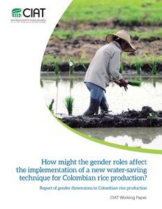 How might the gender roles affect the implementation of a new water-saving technique for Colombian rice production? : Report of gender dimensions in Colombian rice production