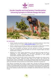 Gender Equality and Food Systems Transformation: Enhancing Synergies in Climate Change Hot Spots