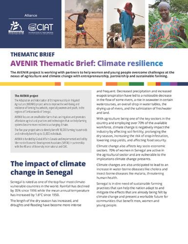 AVENIR Thematic Brief: Climate resilience