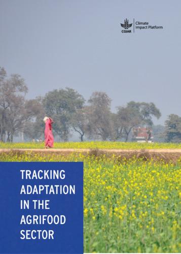Tracking adaptation in the agrifood sector