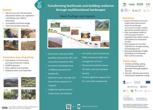 Transforming livelihoods and building resilience through multifunctional landscapes: Main findings and impacts