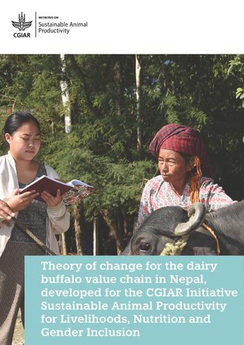 Theory of change for the dairy buffalo value chain in Nepal, developed for the CGIAR Initiative Sustainable Animal Productivity for Livelihoods, Nutrition and Gender Inclusion