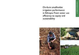On-farm smallholder irrigation performance in Ethiopia: From water use efficiency to equity and sustainability