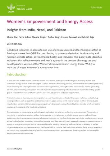 Women’s empowerment and energy access: Insights from India, Nepal, and Pakistan