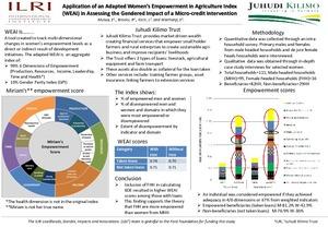 Application of an adapted Women’s Empowerment in Agriculture Index (WEAI) in assessing the gendered impact of a micro-credit intervention