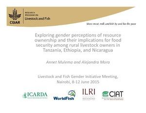 Exploring gender perceptions of resource ownership and their implications for food security among rural livestock owners in Tanzania, Ethiopia, and Nicaragua
