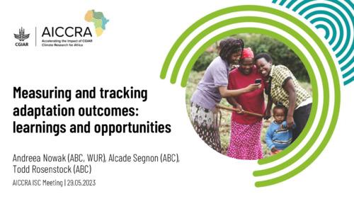 Measuring and tracking adaptation outcomes: learnings and opportunities