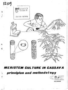 Meristem culture in cassava: principles and methodology: principles and procedures