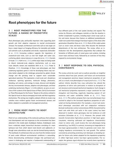 Editorial: Root phenotypes for the future