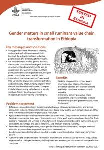 Gender matters in small ruminant value chain transformation in Ethiopia