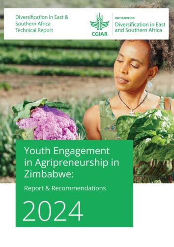 Youth engagement in agripreneurship in Zimbabwe: report and recommendations