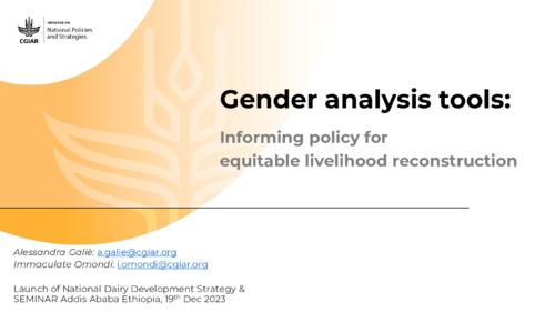 Gender analysis tools: Informing policy for equitable livelihood reconstruction