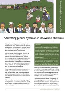Addressing gender dynamics in innovation platforms