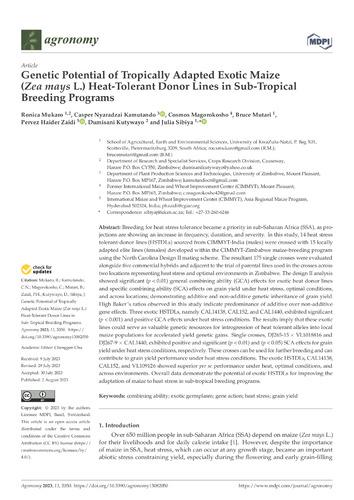 Genetic potential of tropically adapted exotic maize (Zea mays L.) heat-tolerant donor lines in sub-tropical breeding programs